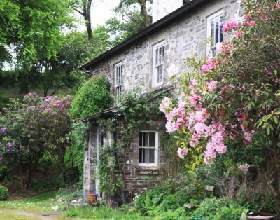 Devon Country Paradise