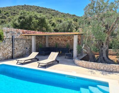 Olive Tree – House with Pool